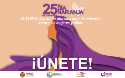 43.9% de las mujeres en México ha enfrentado agresiones del esposo o pareja actual, o la última a lo largo de su relación y 53.1% sufrió violencia por parte de algún agresor distinto a la pareja. (ONU Mujeres México)
