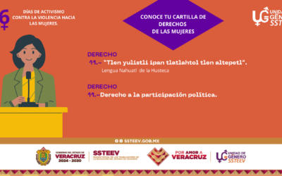 Derecho a la participación política